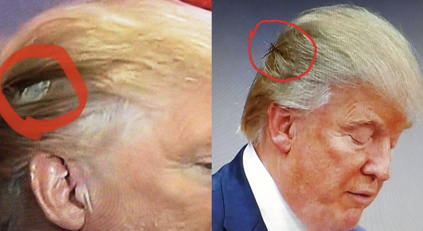 Donald trump diddy